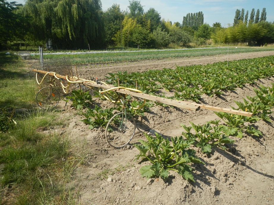 DSCN4126.JPG