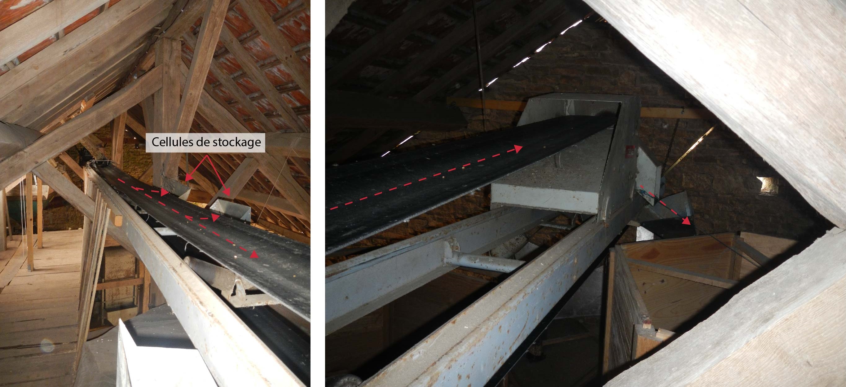 Transport sur tapis.jpg