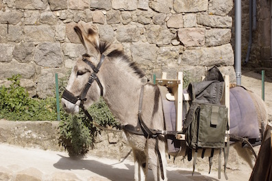 bat avec sacoche.jpg