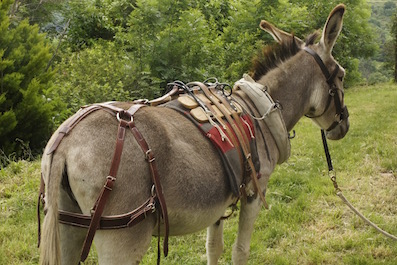 sellette grand vall.jpg