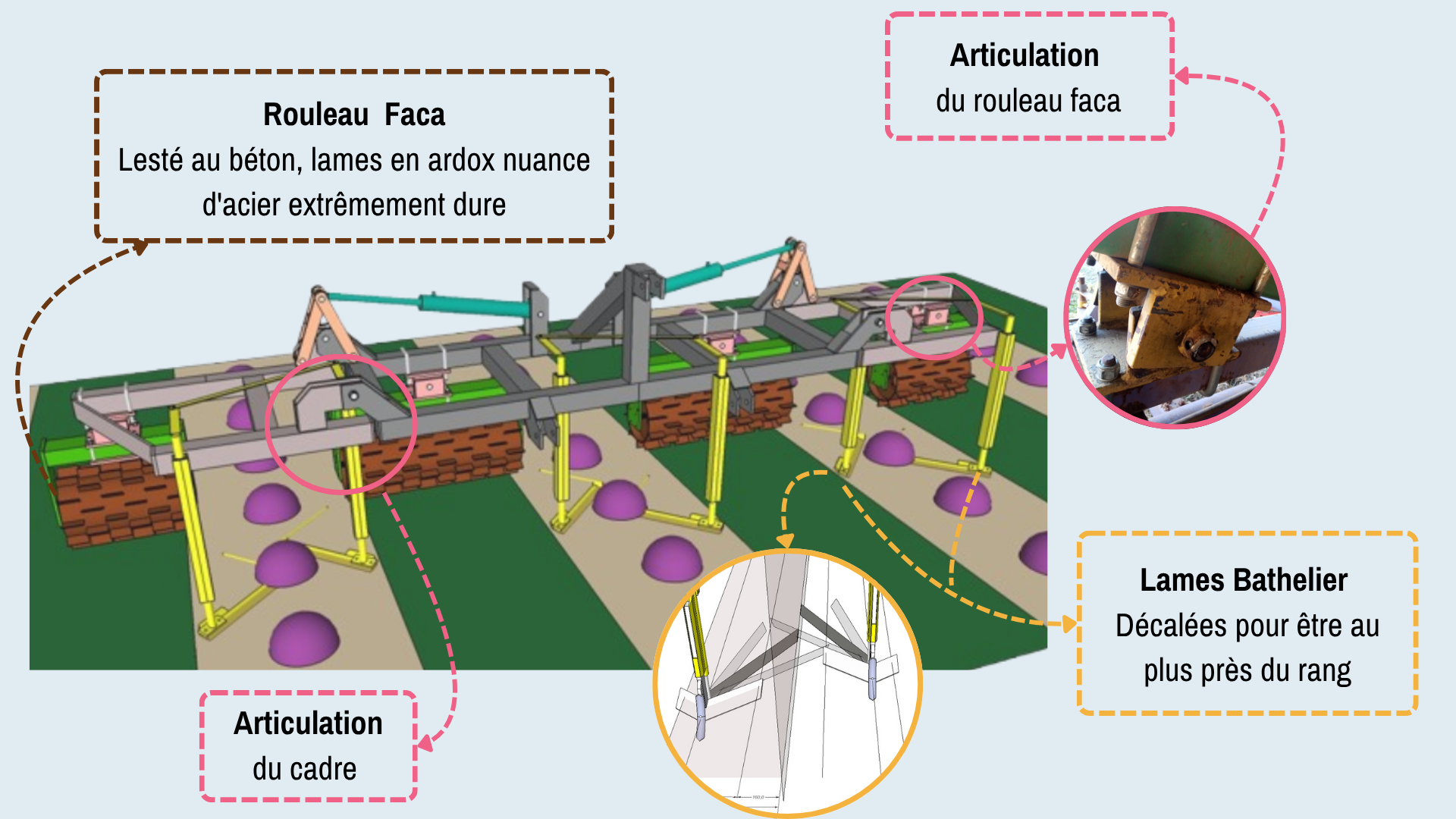 Figure 5. Photo : Laurent Bouvin