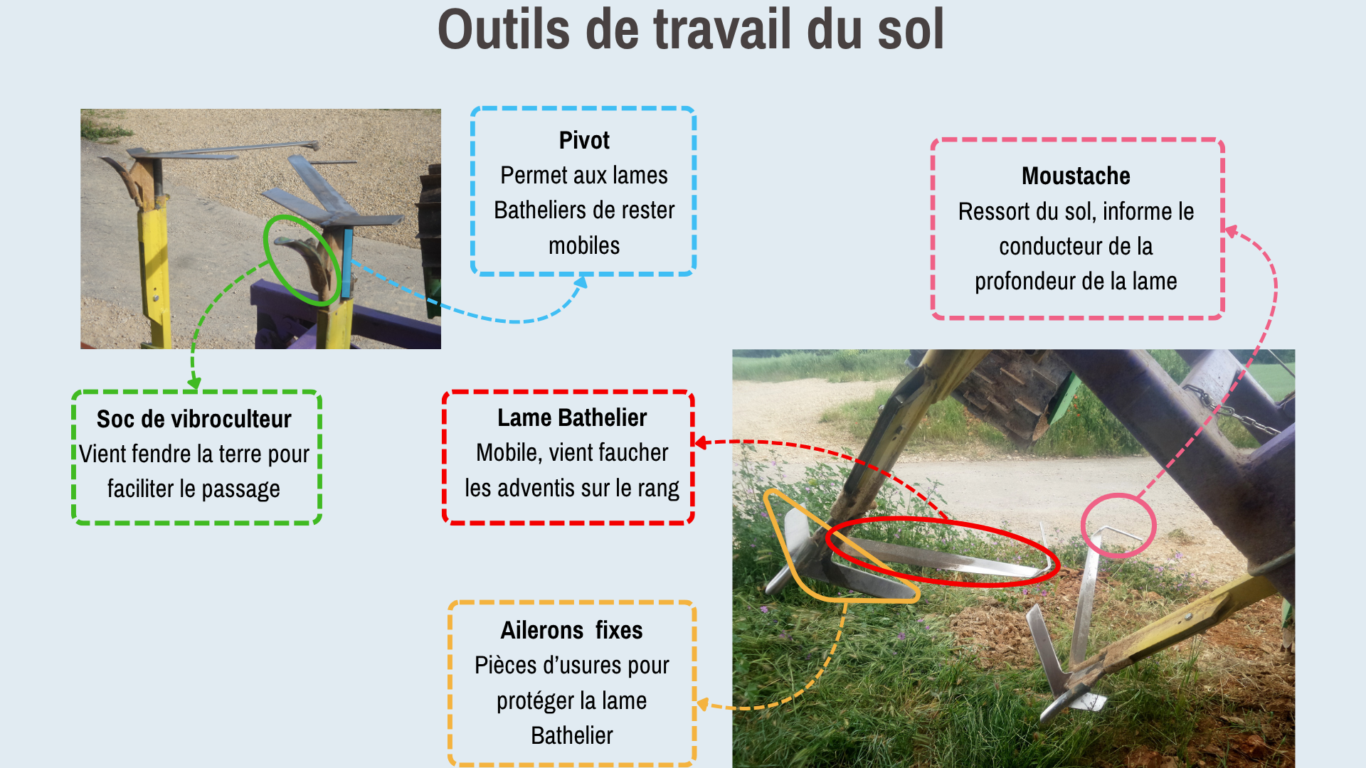 Figure 7. Photo : Laurent Bouvin