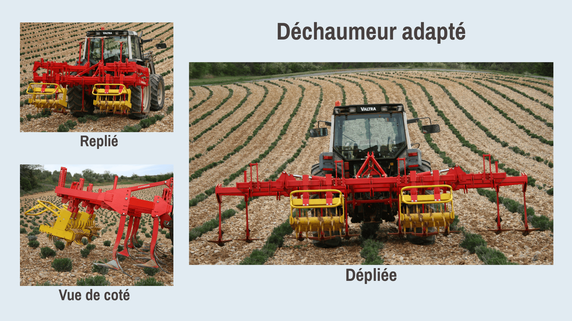 Figure 2. Photo : Laurent Bouvin