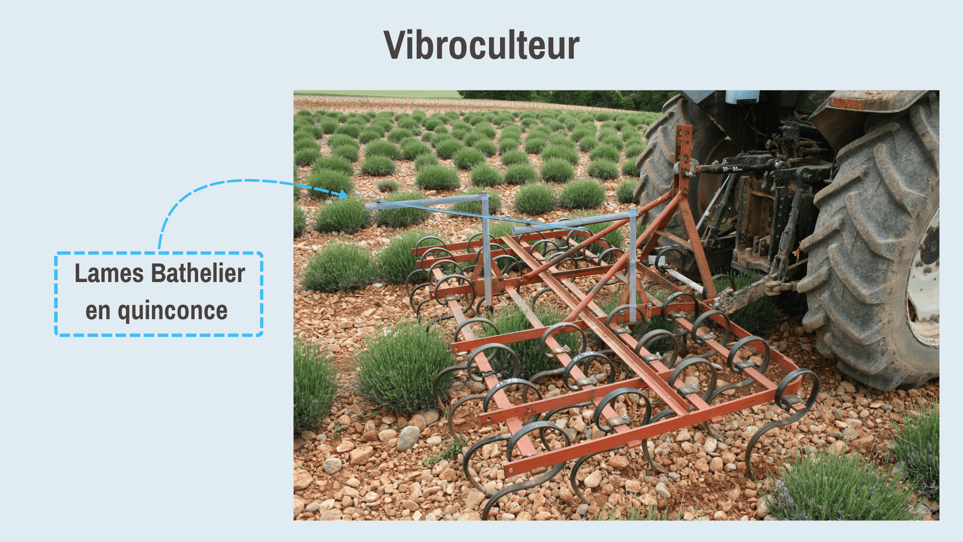 Figure 3. Photo : Laurent Bouvin