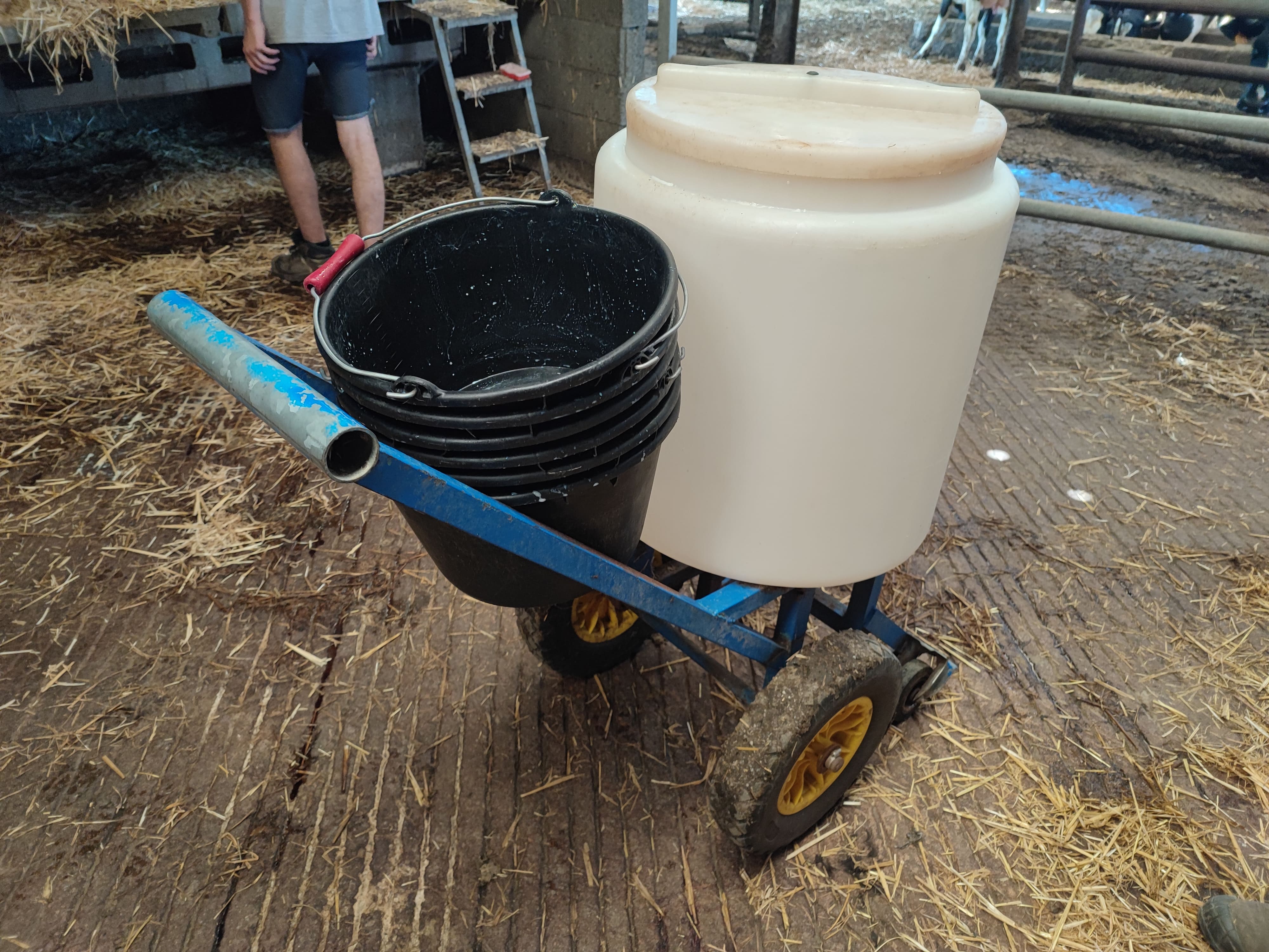 Photo des seaux empilés sur le taxi lait.
