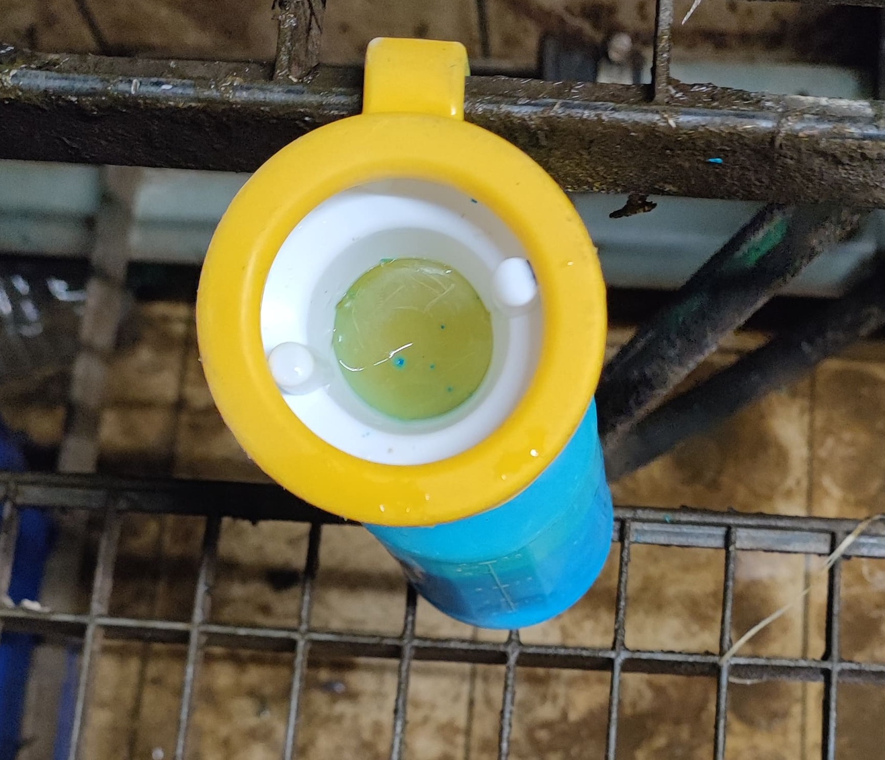 Photo du gobelet de trempage obturé.