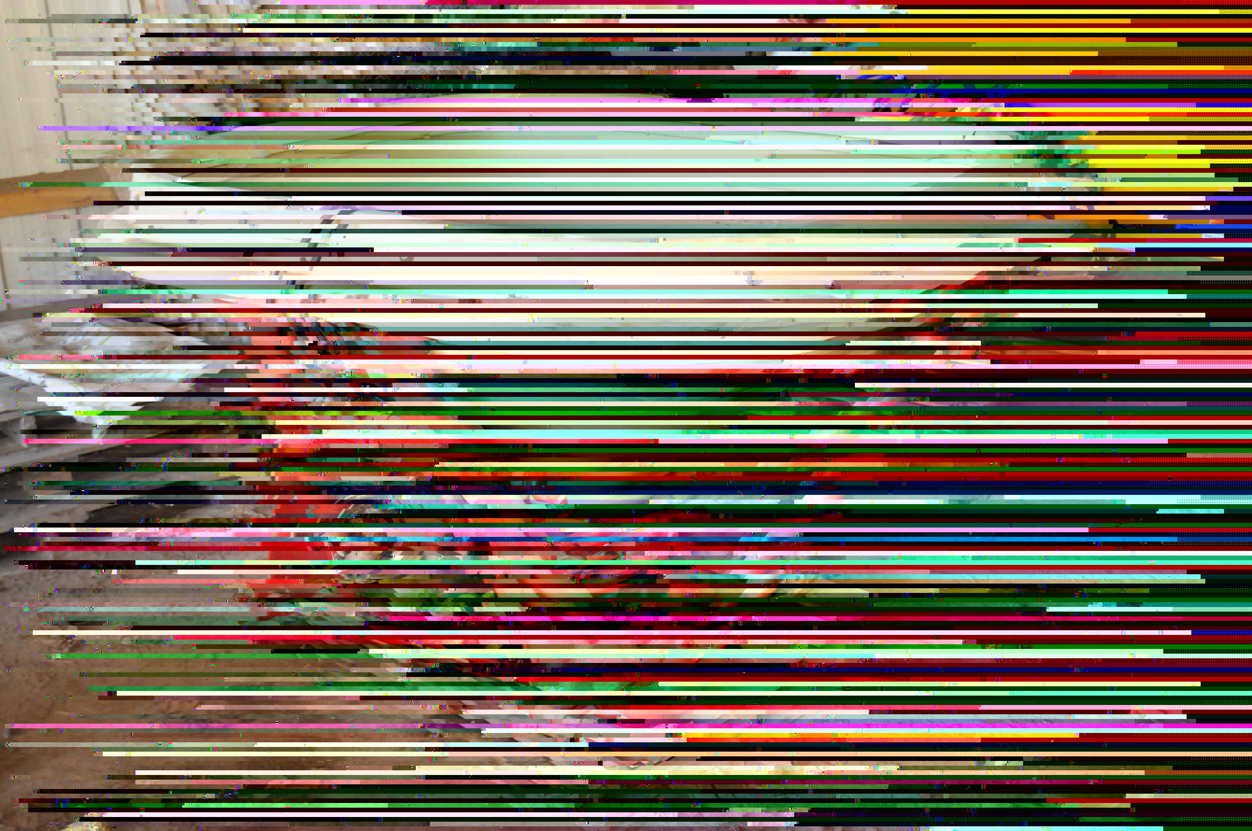 vue ensemble.jpg