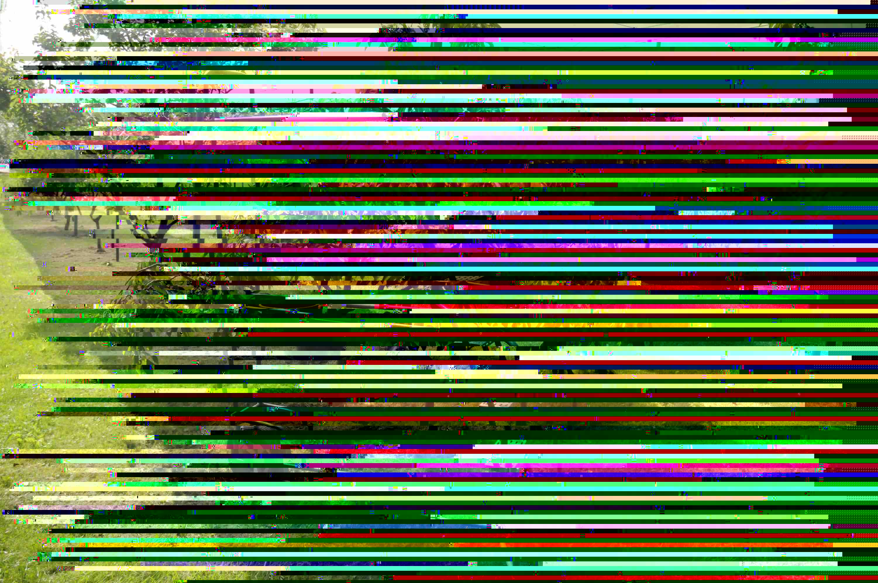 vue enseble.jpg