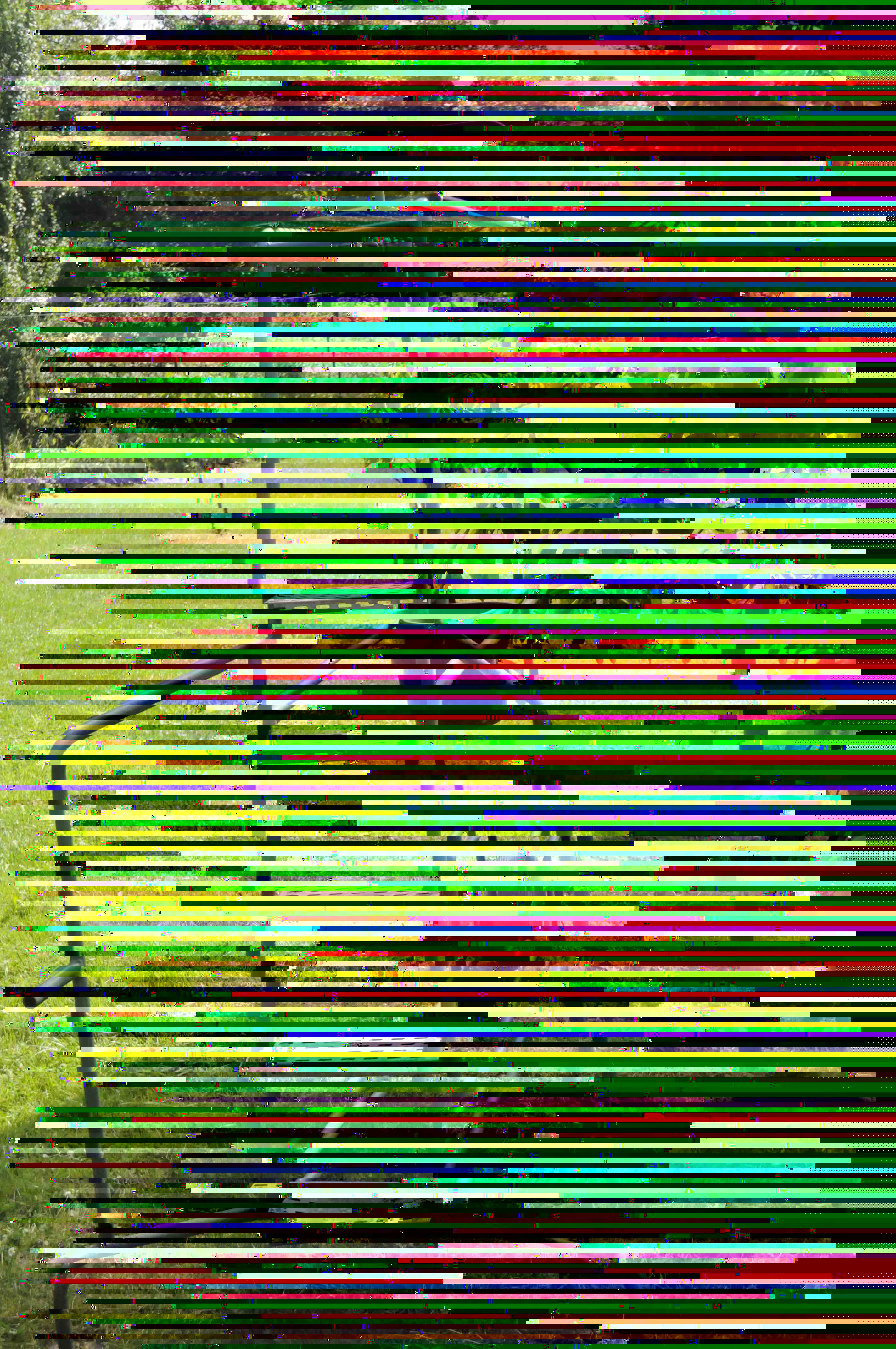 marches.jpg