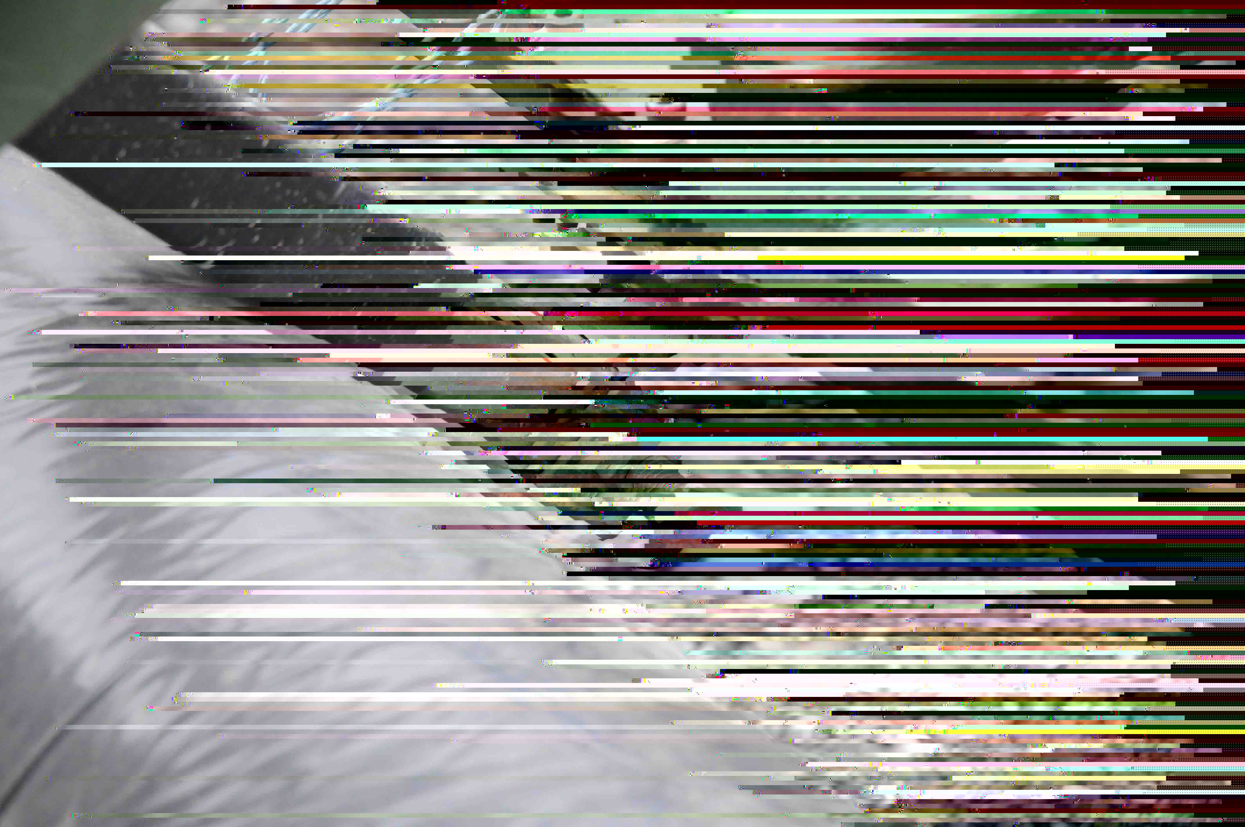 frein.jpg