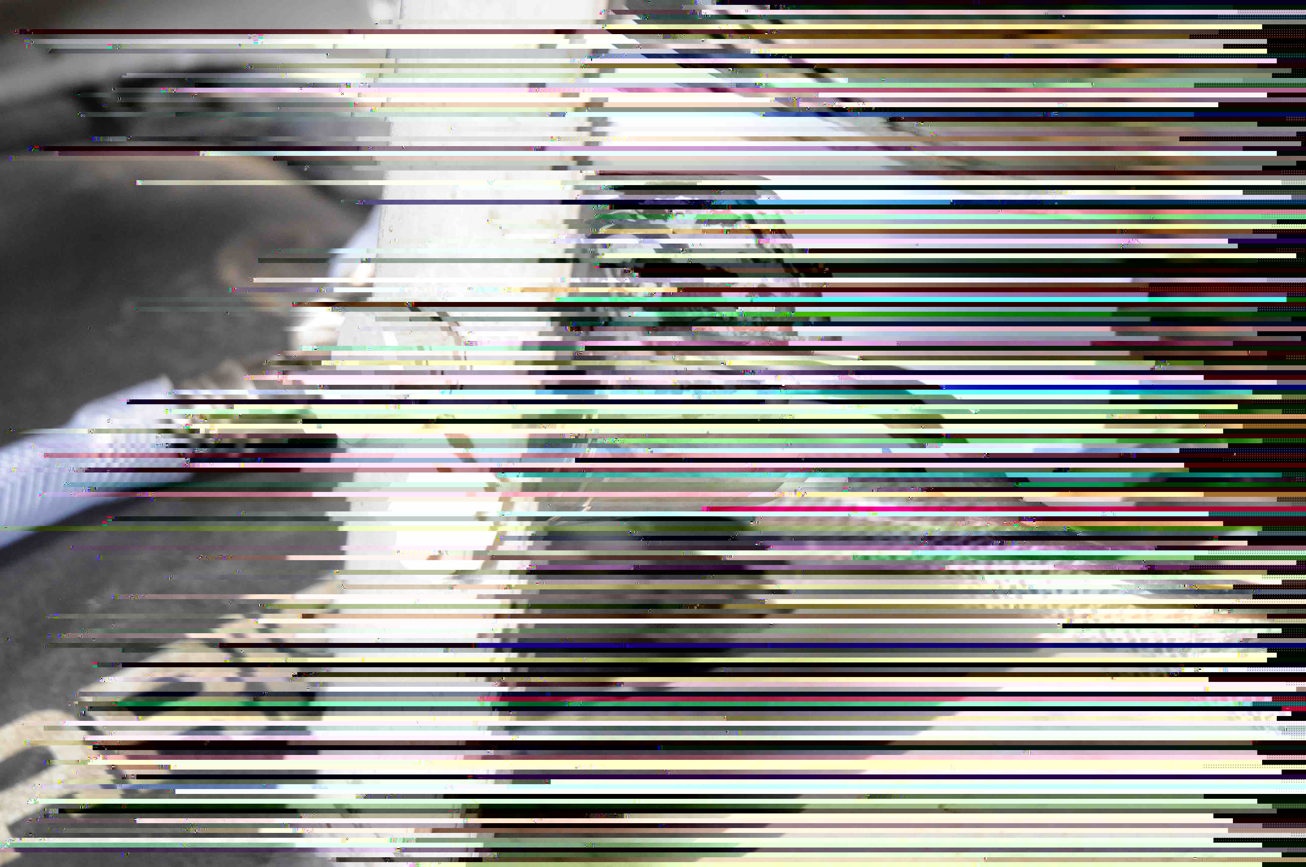 bouton.jpg