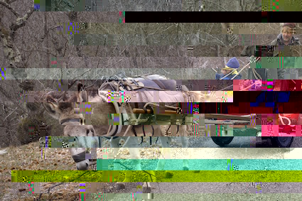 _bluette carriole suisse.jpg