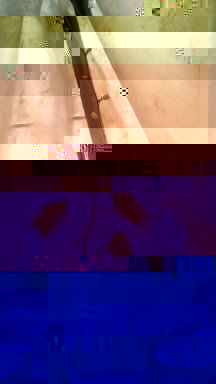 29A.jpg