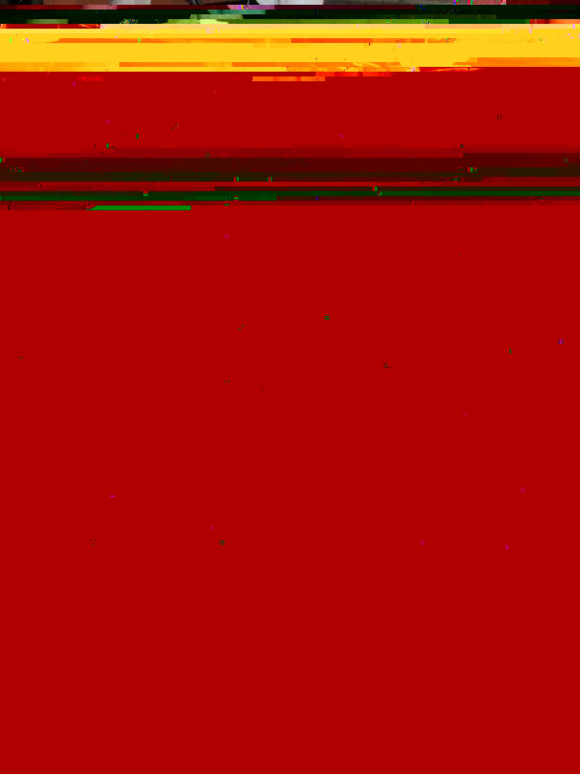 Pied.jpg